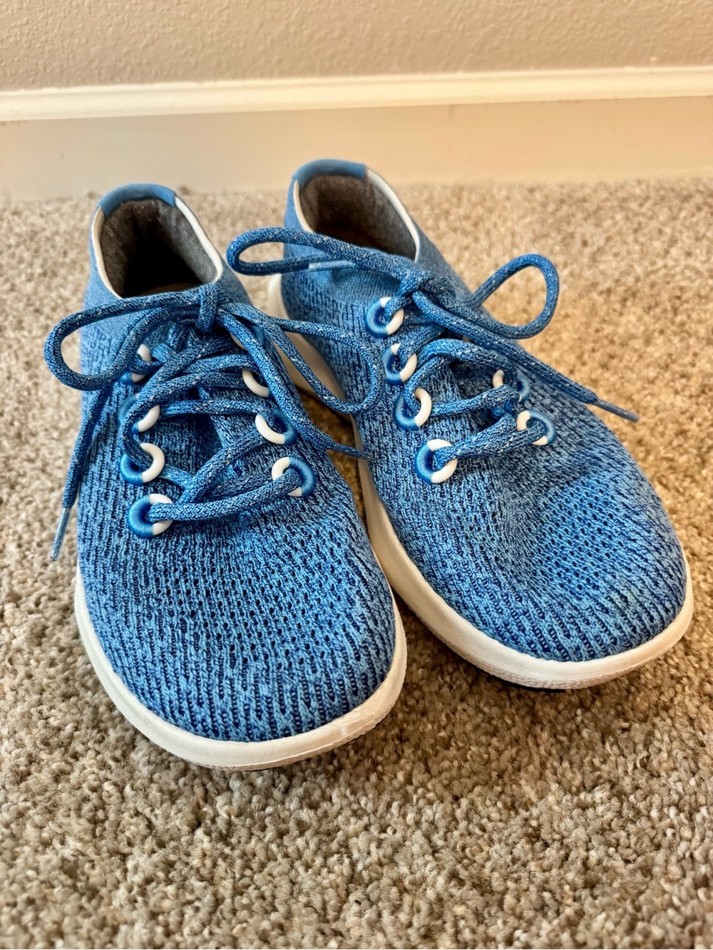 Allbirds Women’s Tree Dasher 2 Blue Knit Running Sneakers Size 9.5